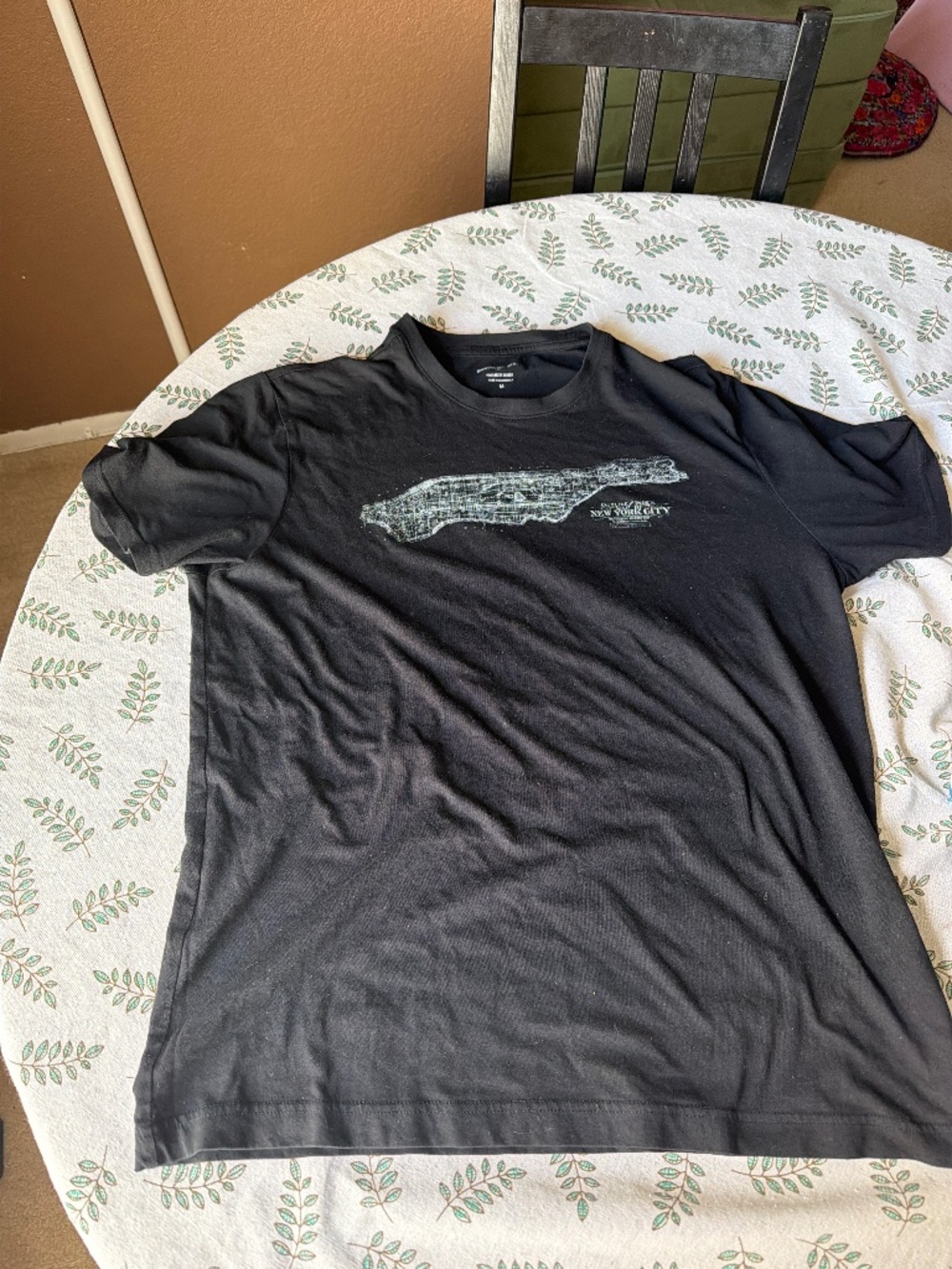 Banana Republic Florida tee